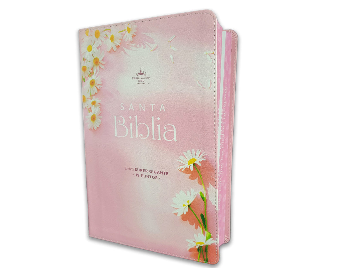Santa Biblia Reina Valera 1960 Letra Super Gigante
