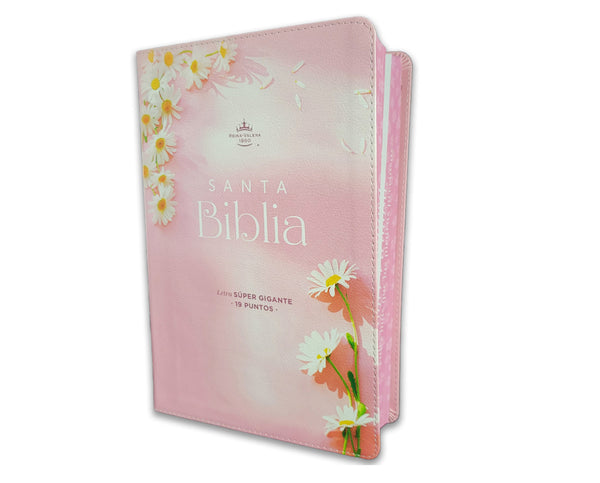 Santa Biblia Reina Valera 1960 Letra Super Gigante