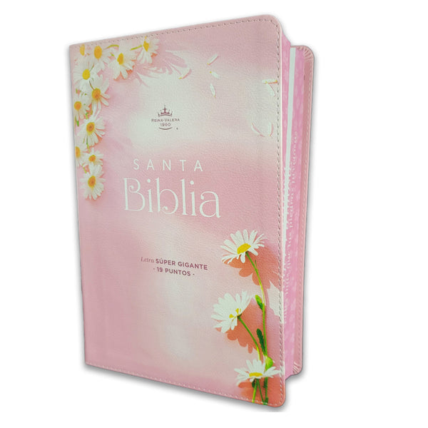 Santa Biblia Reina Valera 1960 Letra Super Gigante