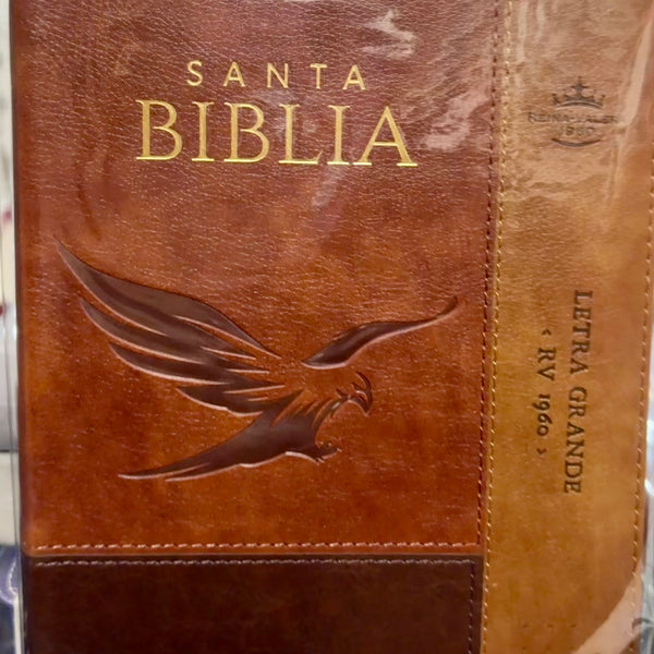 Santa Biblia Reina Valera 1960 Letra Grande con zipper tamaño manual