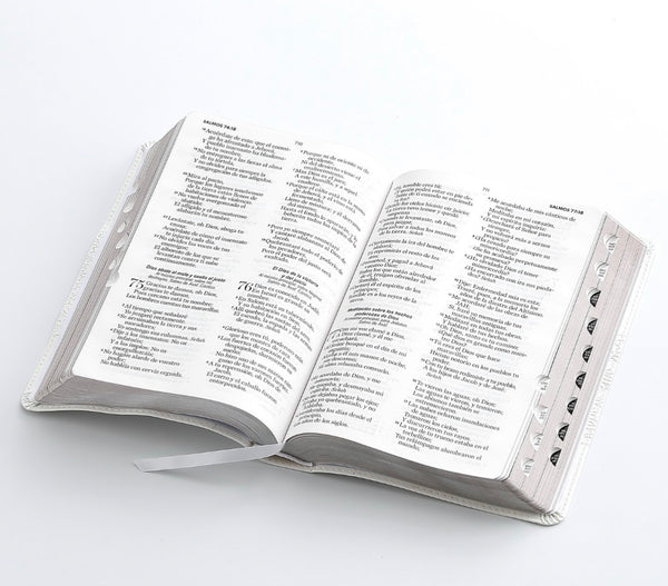 Santa Biblia Reina Valera 1960 Biblia para Boda canto plateado