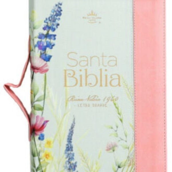 Santa Biblia Reina Valera 1960