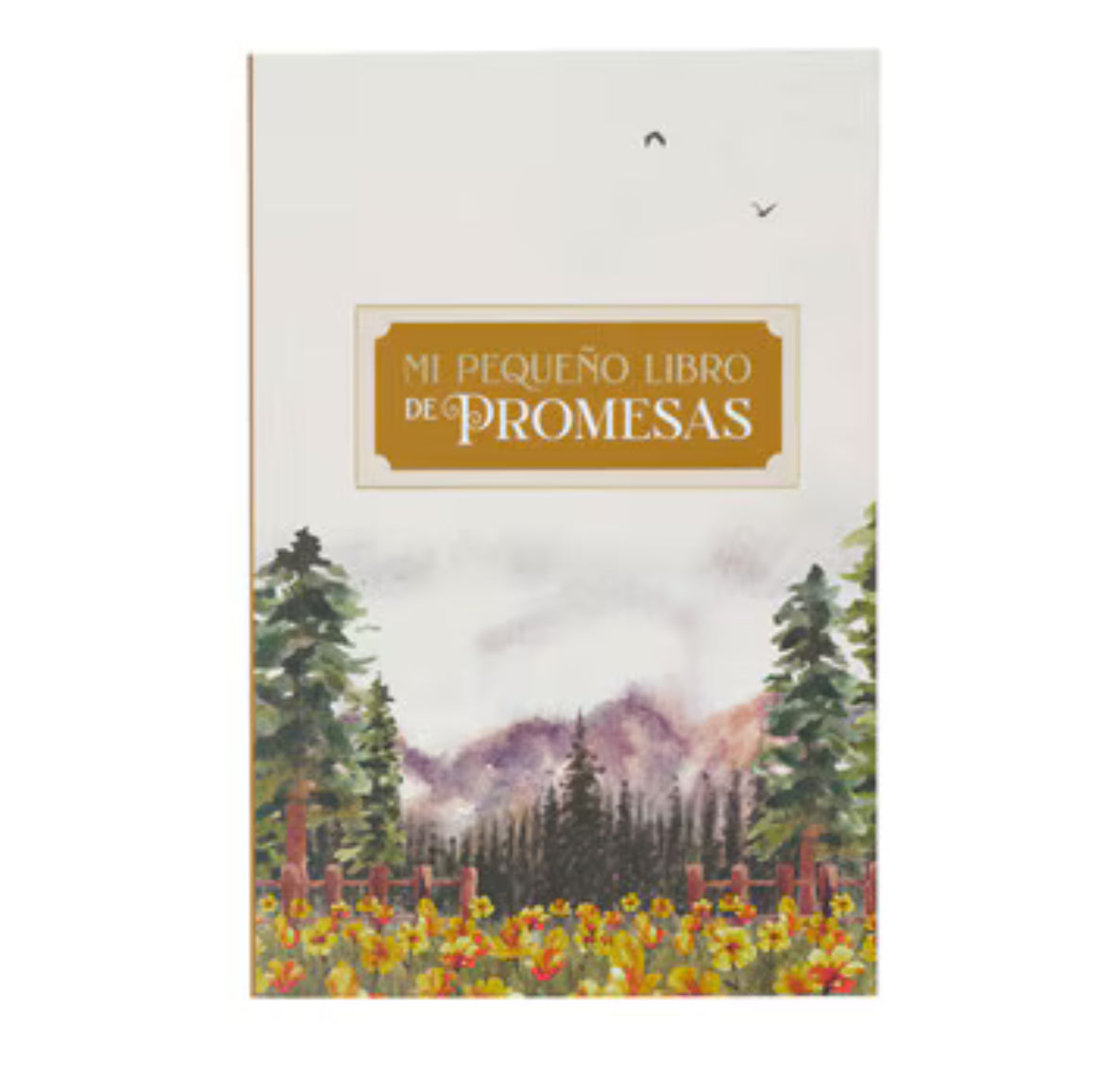 Mi pequeño Libro de Promesas
