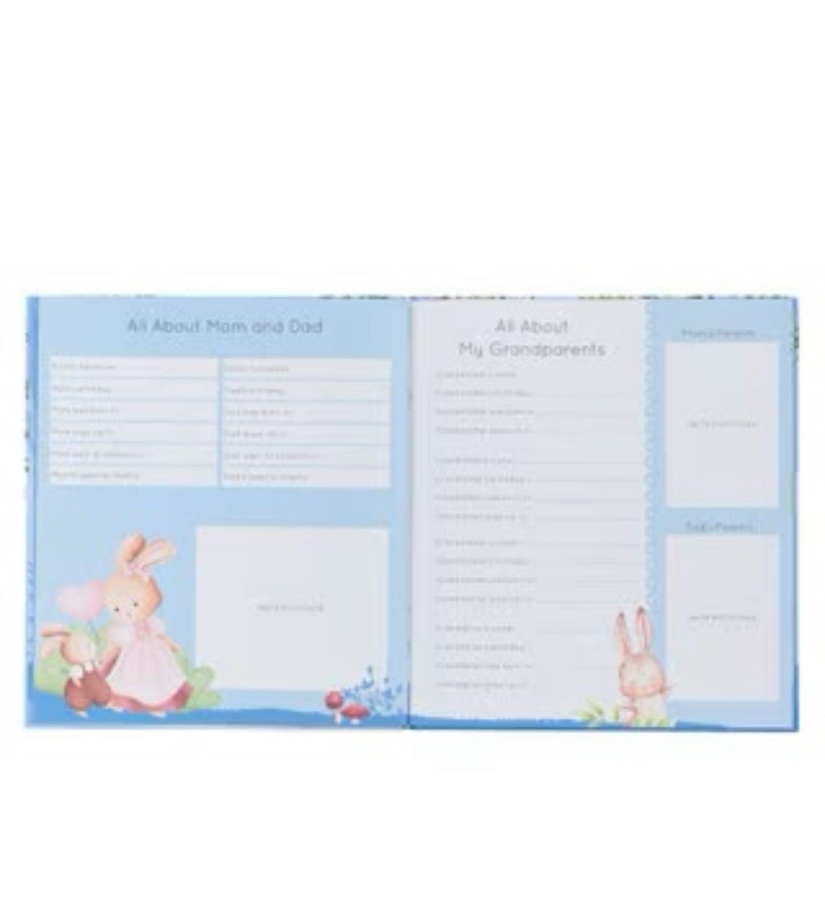 My First Year a Memory Book For Baby