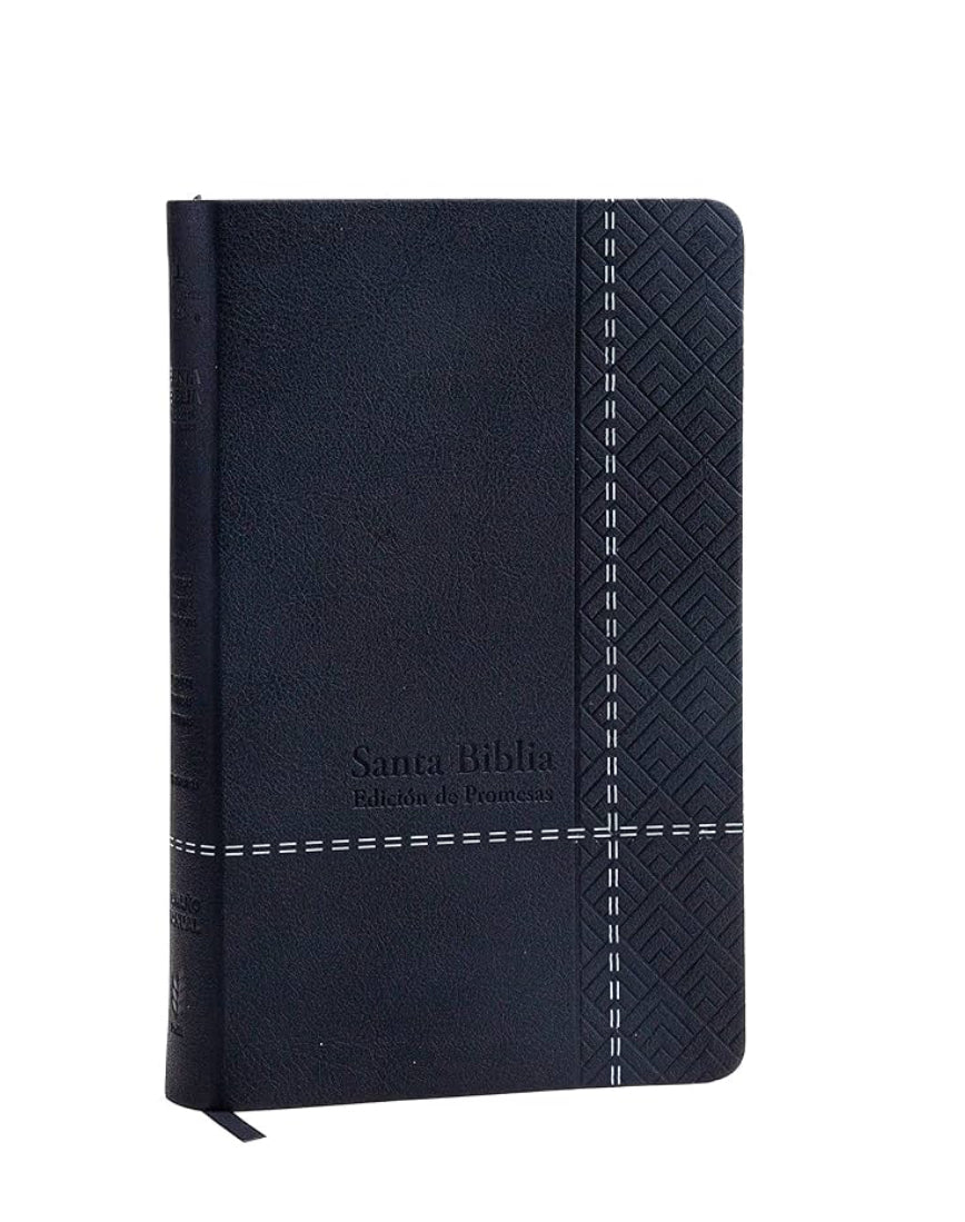 Biblia de Promesas