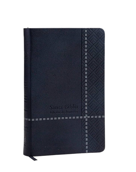 Biblia de Promesas
