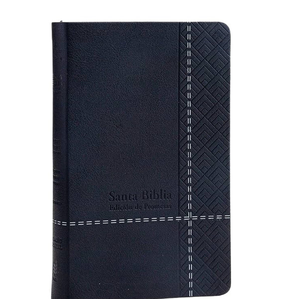 Biblia de Promesas