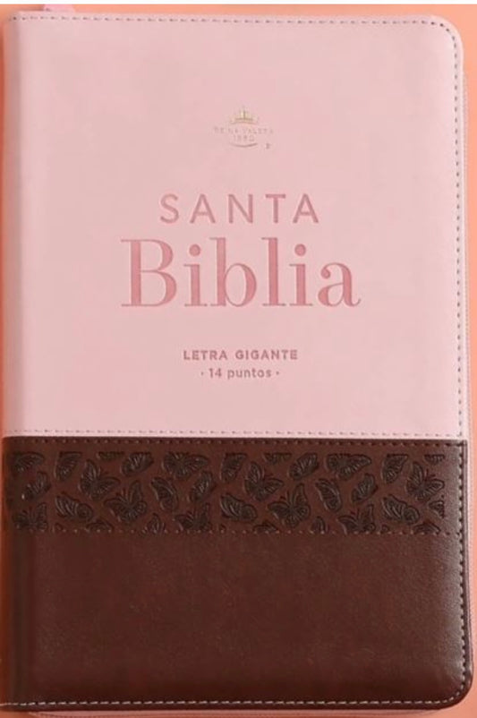 Santa Biblia Reina Valera 1960 Letra Gigante — disponible en La Librería del Evangelio