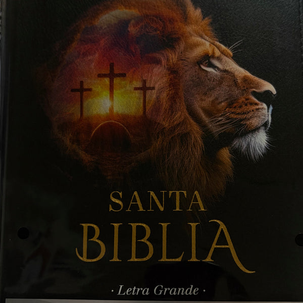 Santa Biblia Reina Valera 1960