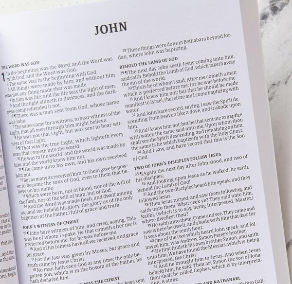 KING JAMES VERSION HOLY BIBLE LARGE PRINT (paperback)