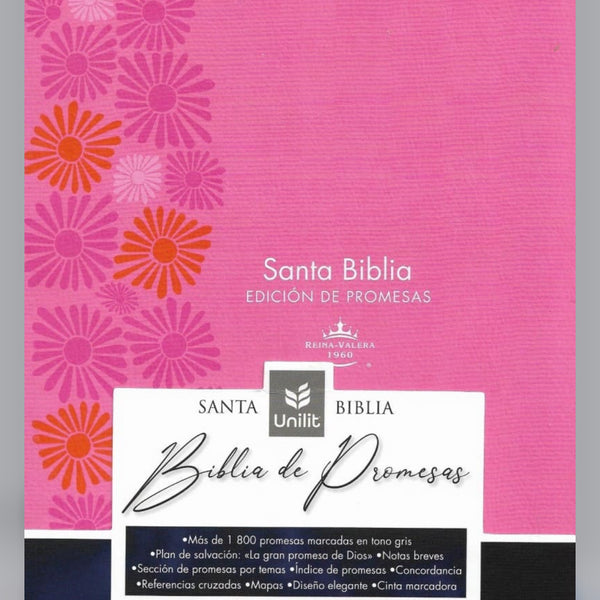 Biblia de Promesas