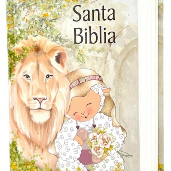 Santa Biblia Reina Valera 1960 hardcover