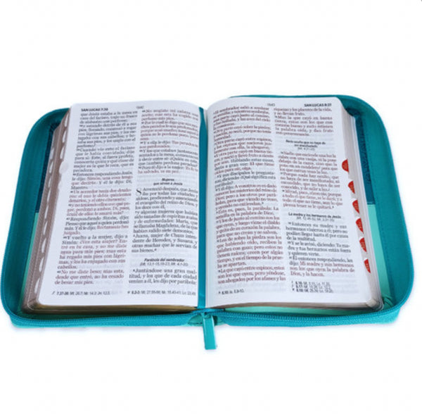 Santa Biblia Reina Valera 1960 Letra Grande 11 Puntos, tamaño compacta