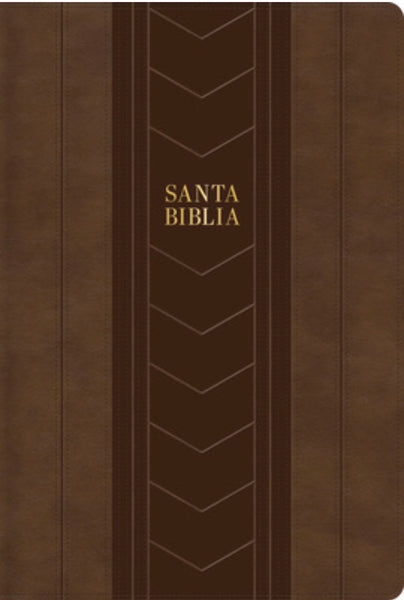 Biblia REINA VALERA 1960 Letra Grande tamaño manual