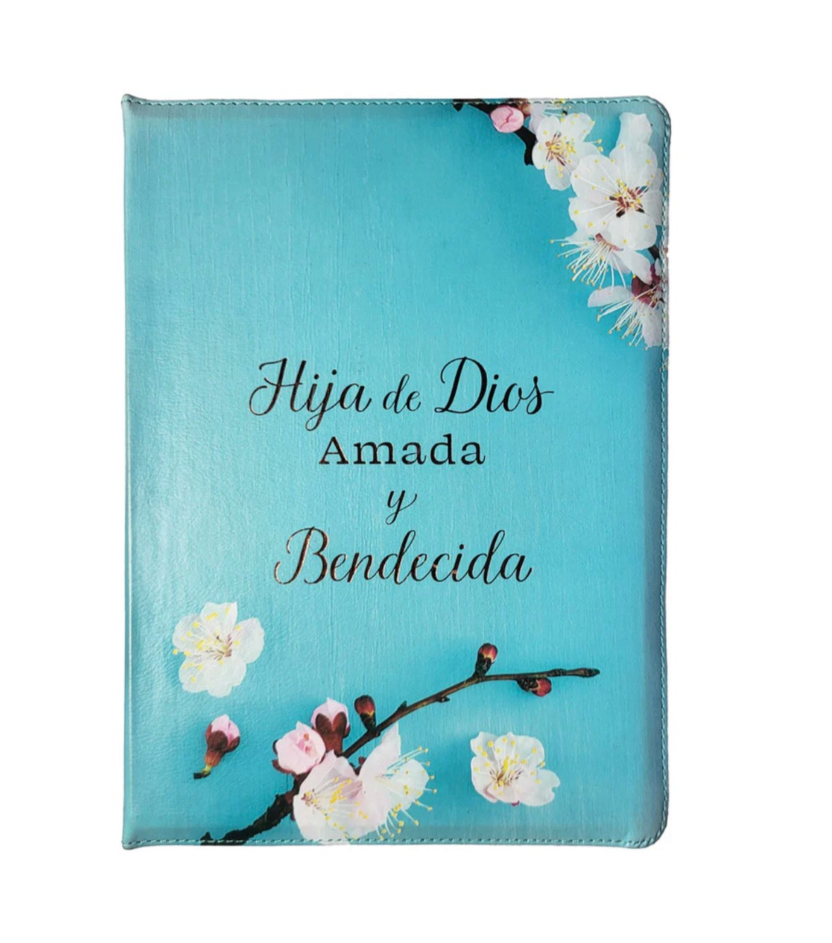 Biblia Reina Valera 1960 Letra Gigante, Tamaño manual — disponible en La Librería del Evangelio