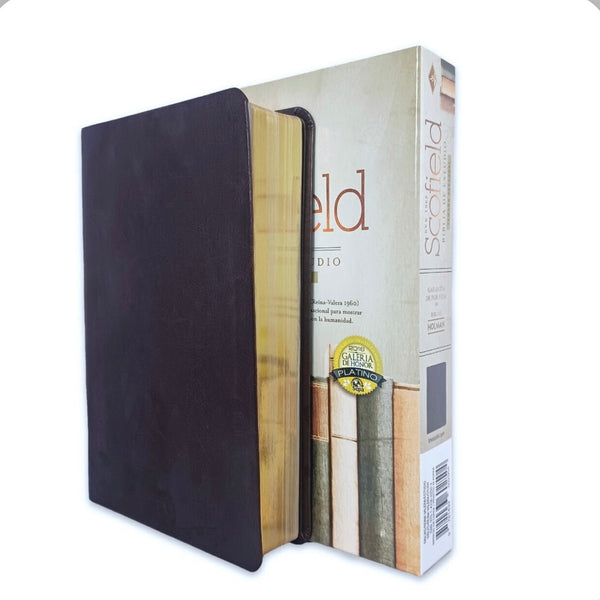 Biblia de Estudio SCOFIELD Reina Valera 1960