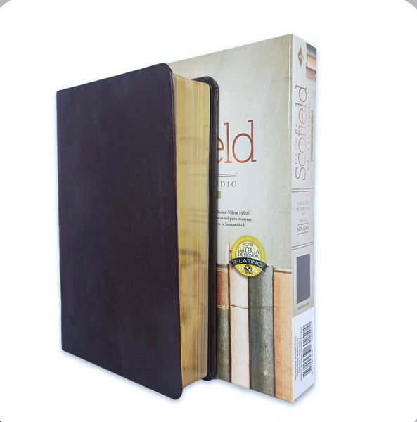 Biblia de Estudio SCOFIELD Reina Valera 1960