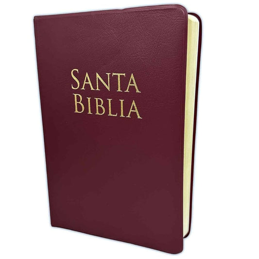 Santa Biblia Reina Valera 1960 Letra Grande tamaño manual