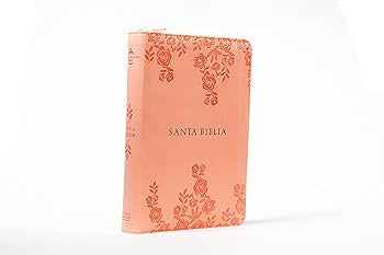 Santa Biblia Reina Valera 1960 Letra Grande Tamaño Manual