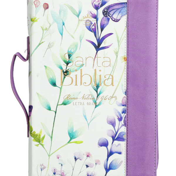 Santa Biblia Reina Valera 1960