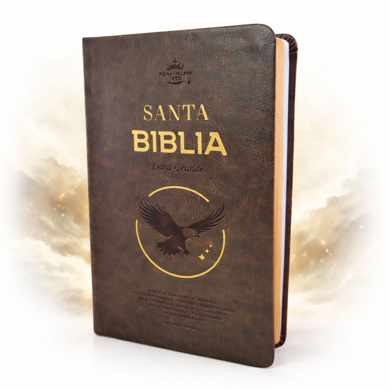 Santa Biblia Reina Valera 1960 Obsequios & premios — disponible en La Librería del Evangelio