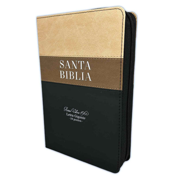 Santa Biblia Reina Valera 1960 letra gigante