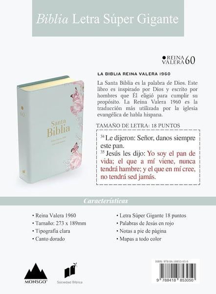 Santa Biblia Reina Valera 1960 Letra Supergigante