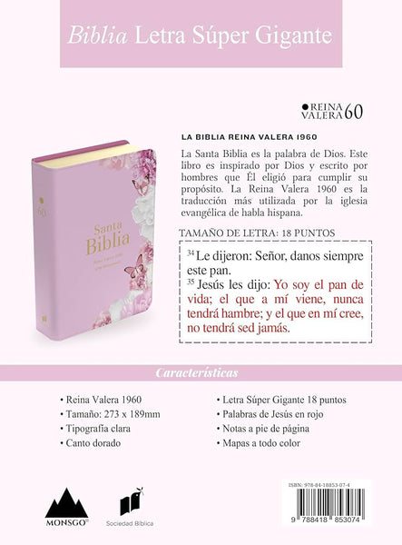 Santa Biblia Reina Valera 1960 Letra Super Gigante