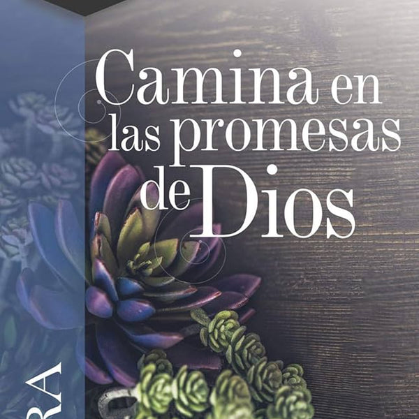 Camina en las Promesas de Dios - Elizabeth George