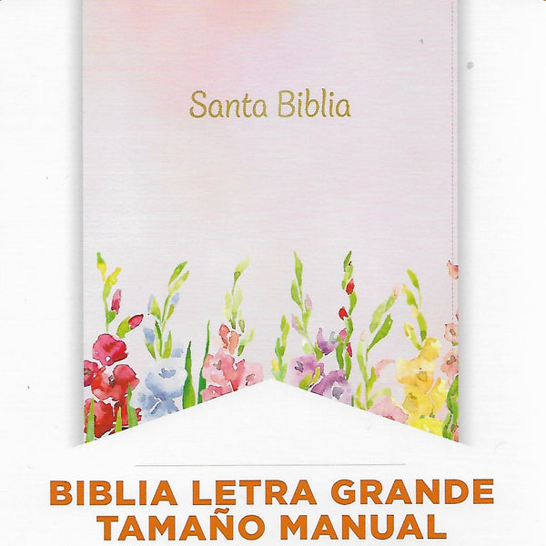 Biblia Reina Valera 1960 Letra Grande tamaño manual