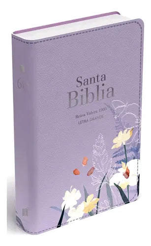 Santa Biblia Reina Valera 1960 Letra Grande