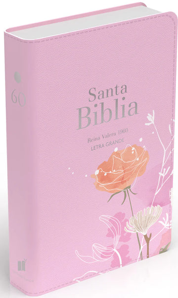 Santa Biblia Reina Valera 1960 Letra Grande