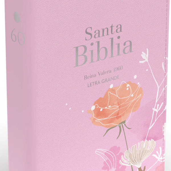 Santa Biblia Reina Valera 1960 Letra Grande