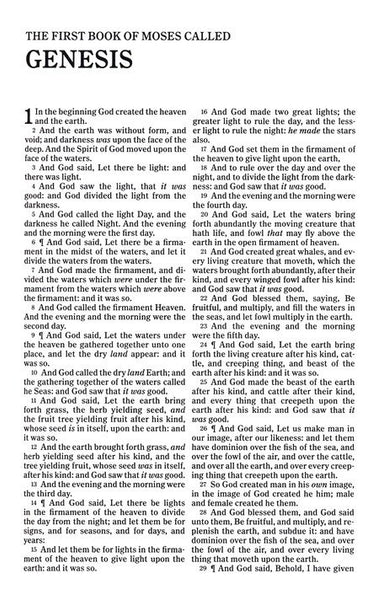Kid's Bible Thinline Edition