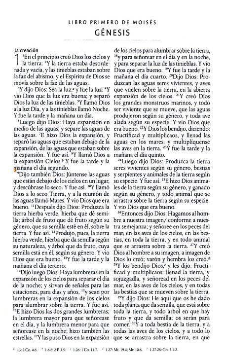Santa Biblia Reina Valera 1960 Letra Grande con iman