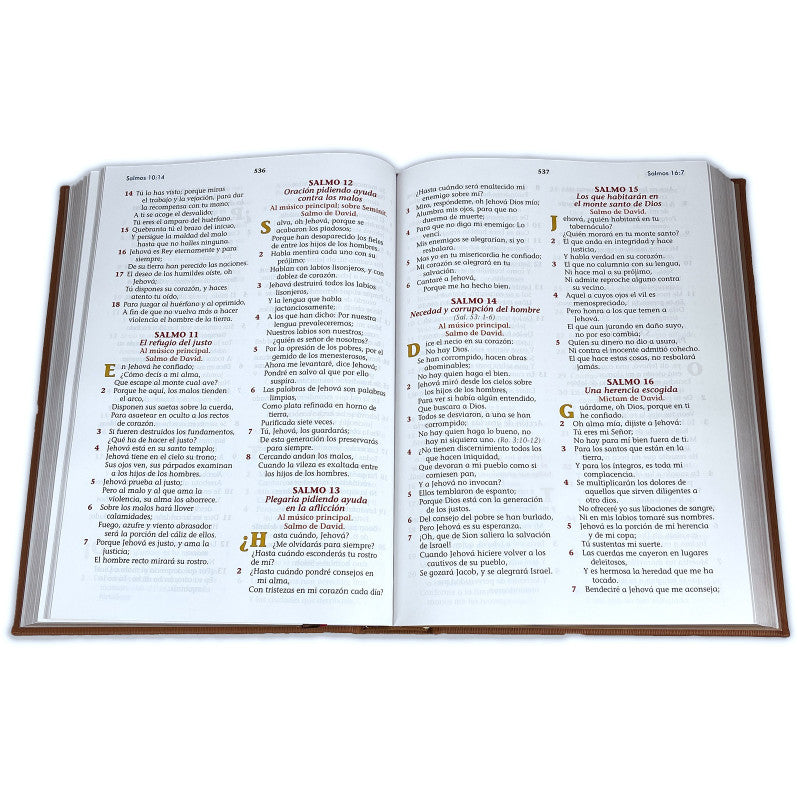 Santa Biblia Reina Valera 1960 (Biblia Especial Para La Familia) — imagen 2, La Librería del Evangelio