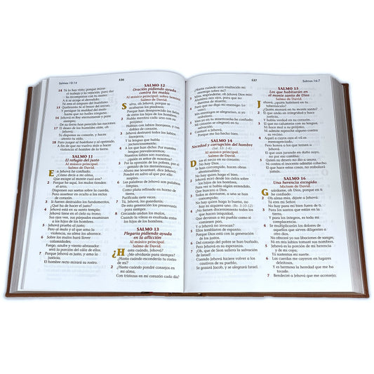 Santa Biblia Reina Valera 1960 (Biblia Especial Para La Familia) — imagen 2, La Librería del Evangelio