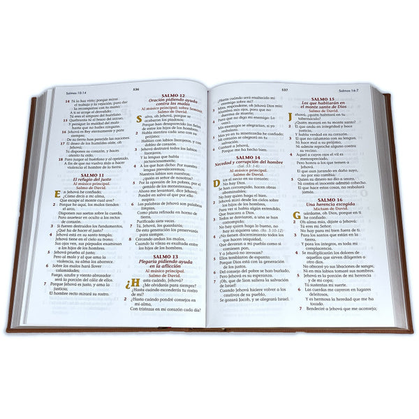 Santa Biblia Reina Valera 1960 (Biblia Especial Para La Familia)