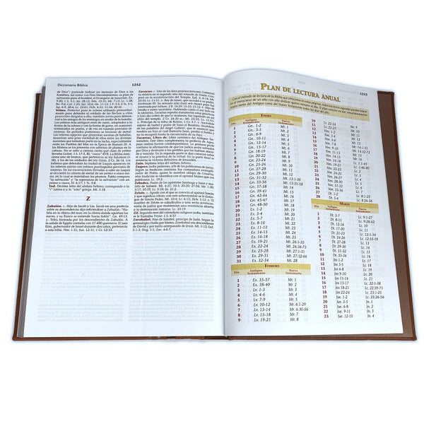 Santa Biblia Reina Valera 1960 (Biblia Especial Para La Familia)
