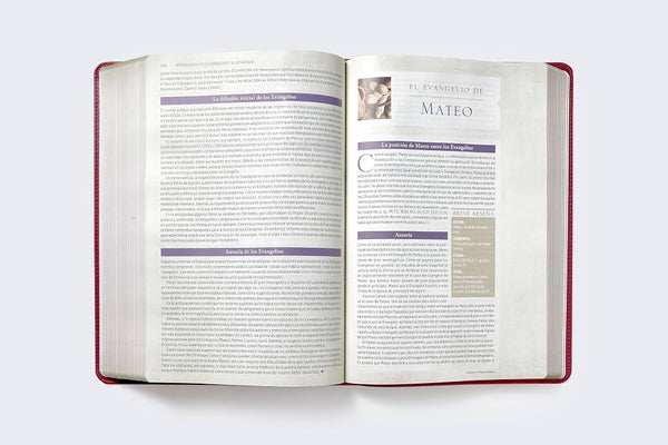 Biblia De Estudio Trasfondo Cultural RVR