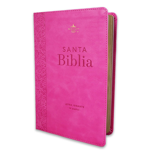 Santa Biblia Reina Valera 1960 letra gigante — disponible en La Librería del Evangelio