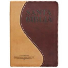 Santa Biblia antigua version Reina Valera 1909