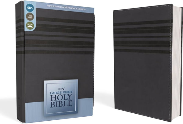 NIrV Large Print Holy Bible
