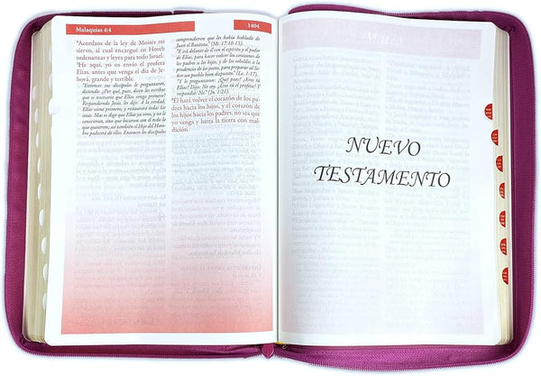 Santa Biblia Letra Supergigante