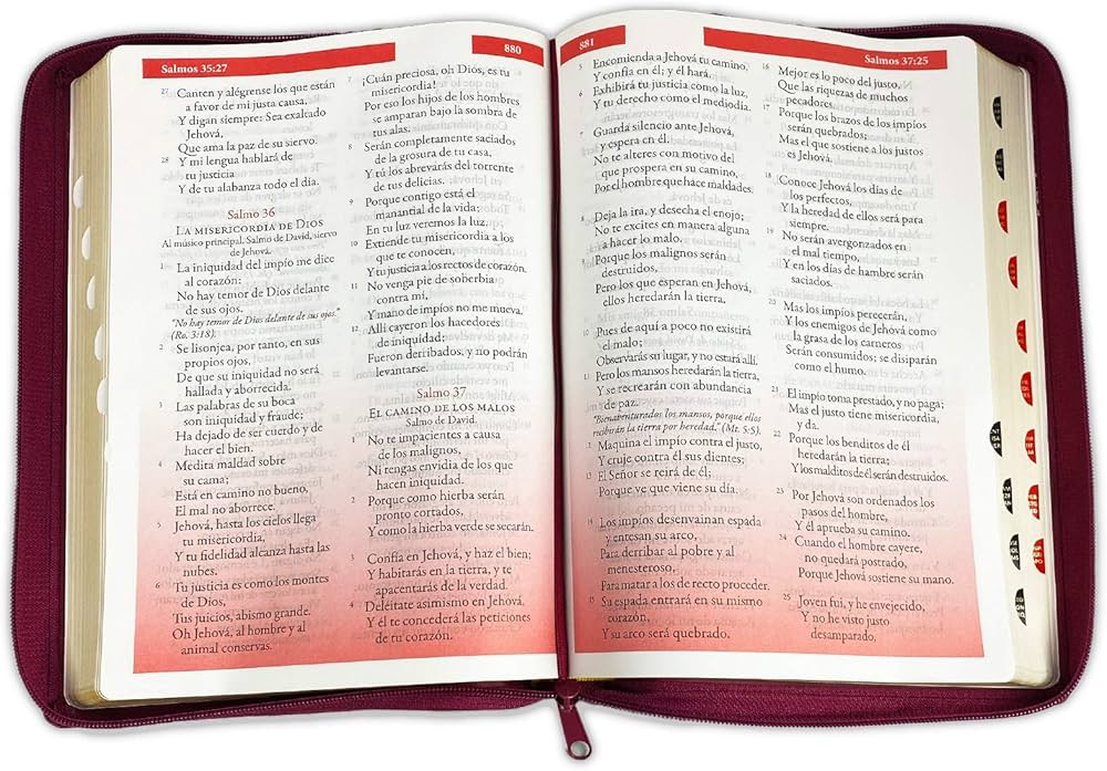 BIBLIA RVR 1960 LETRA SUPERGIGANTE. — imagen 2, La Librería del Evangelio
