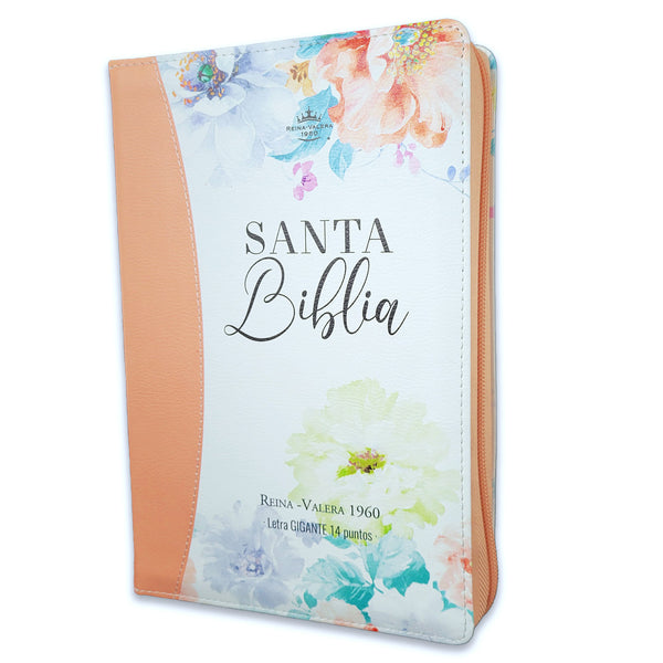 Santa Biblia Reina Valera 1960 letra gigante 14 puntos