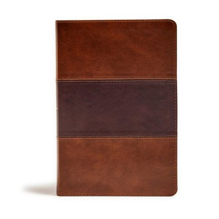 Biblia KJV de letra gigante