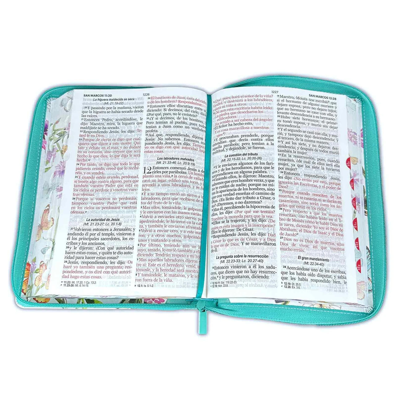 Santa Biblia Reina Valera 1960 Letra Gigante con cierre e indice