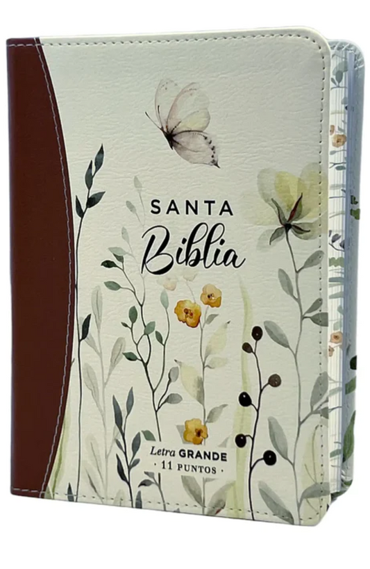 Santa Biblia Reina Valera 1960 letra grande — disponible en La Librería del Evangelio