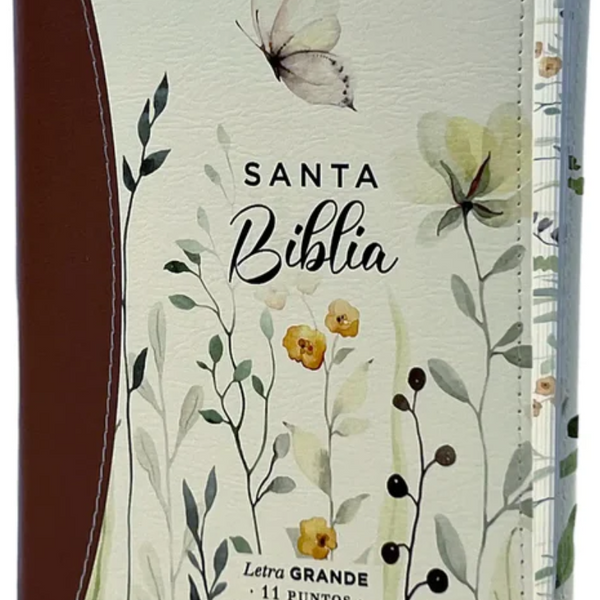 Santa Biblia Reina Valera 1960 letra grande